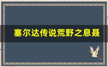 塞尔达传说荒野之息聂尔龙_塞尔达三大泉水 龙鳞